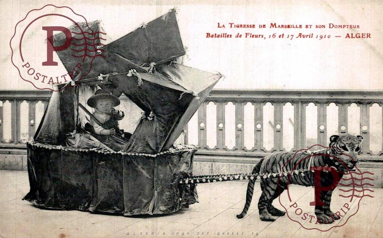 ALGER - BATAILLE DE FLEURS - TIGRESSE ET CHASSEUR2 - 1912.jpg